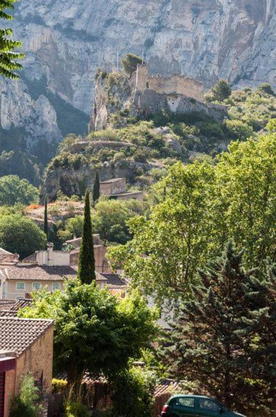La Figuiere Fontaine De Vaucluse B&B 외부 사진