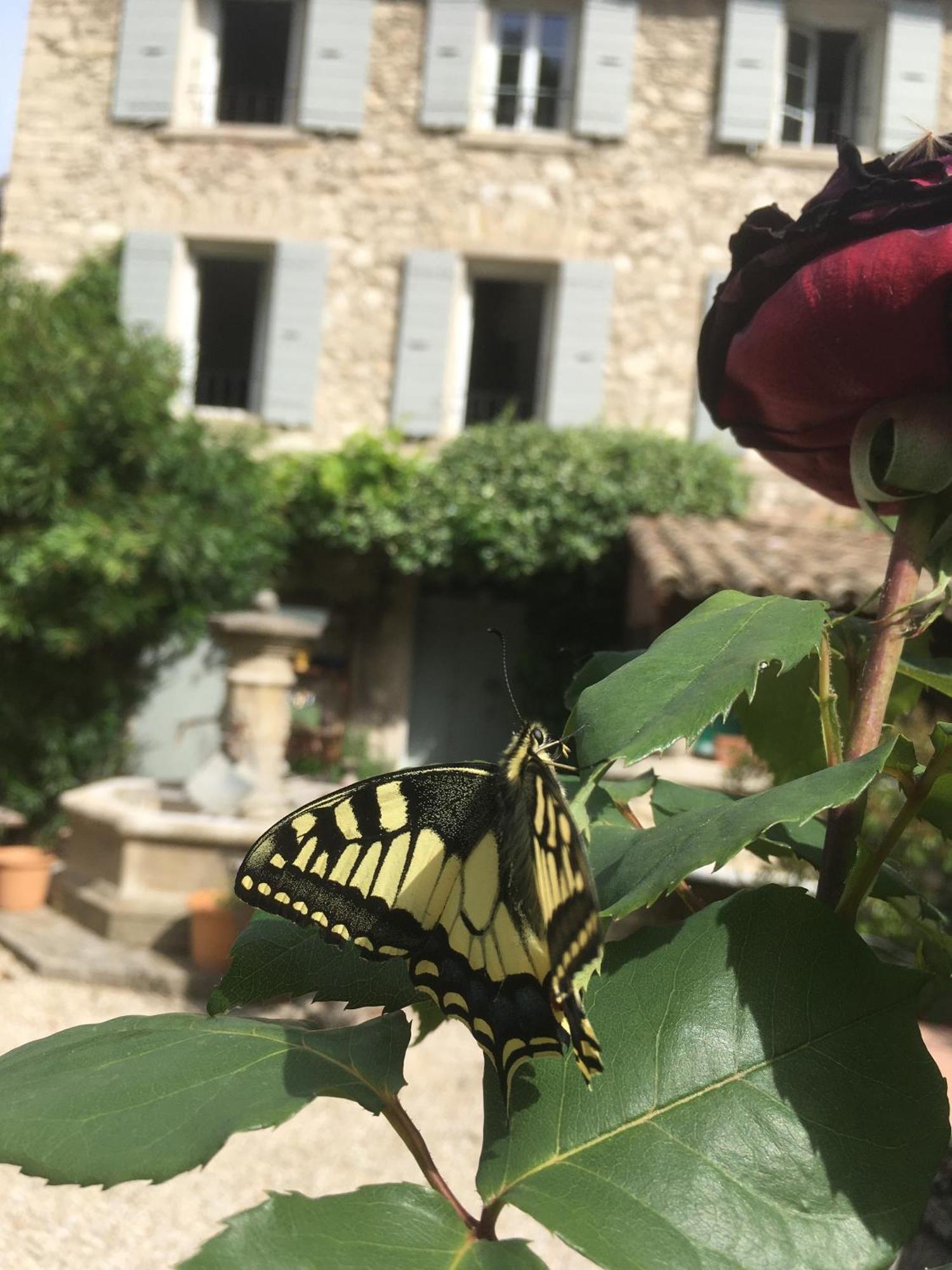 La Figuiere Fontaine De Vaucluse B&B 외부 사진